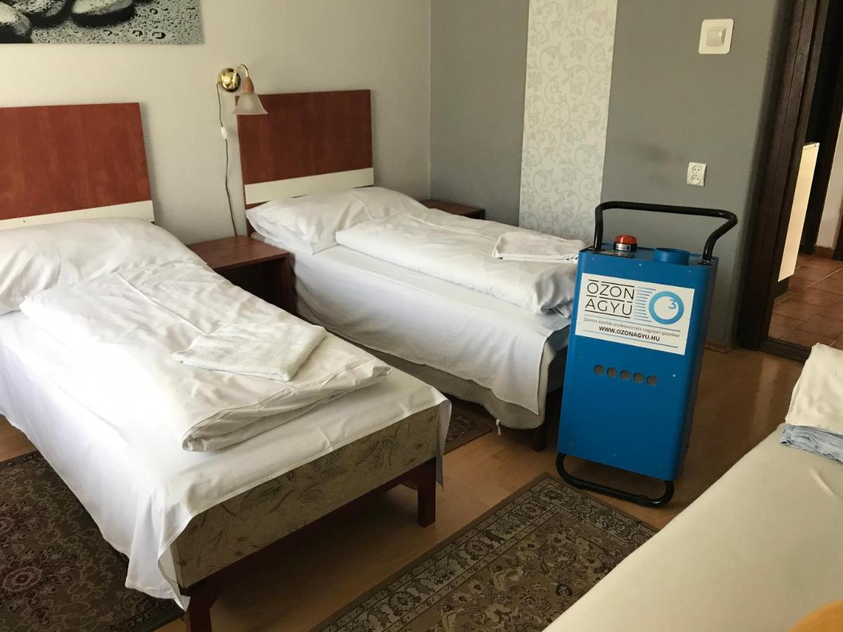Erika Vendeghaz Hotell Szentendre Exteriör bild